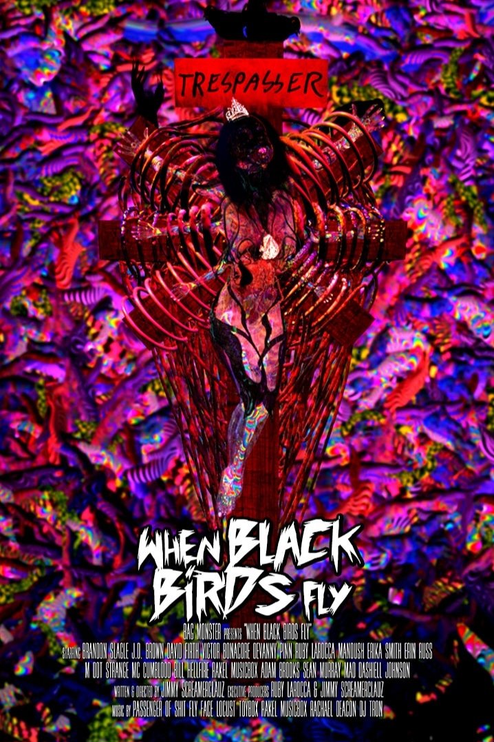 When Black Birds Fly