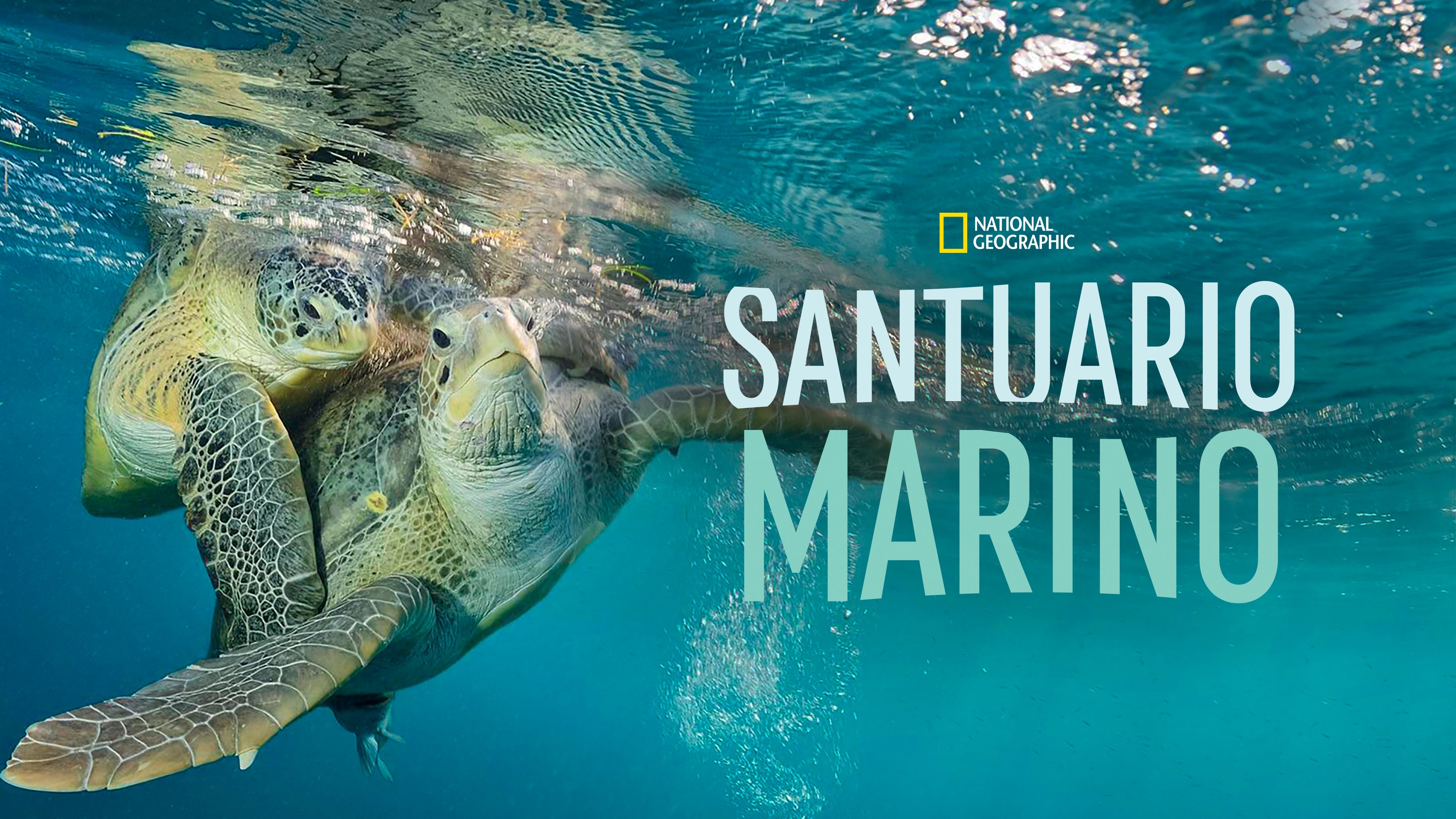 Sea of Hope: America's Underwater Treasures
