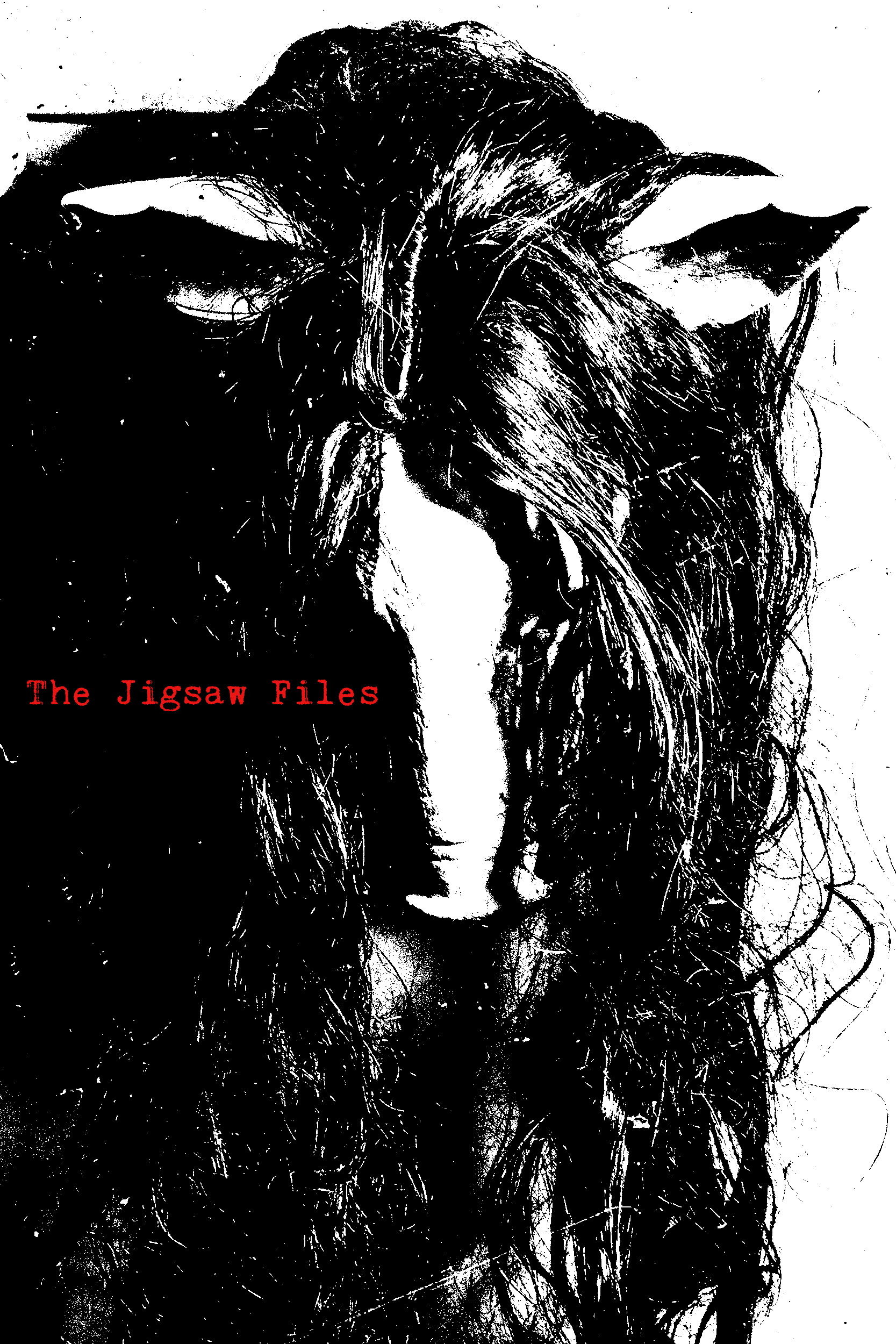 The JigSaw Files