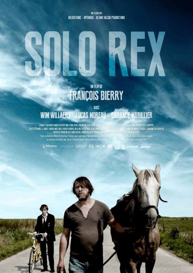 Affiche du film Solo Rex 115906