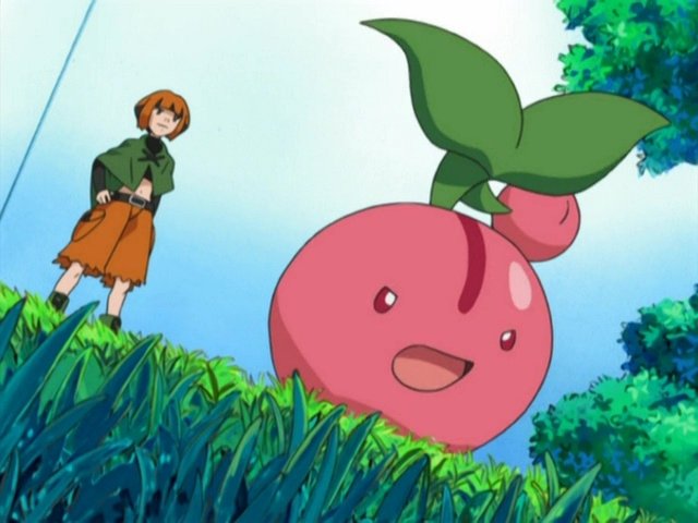 Pokémon Season 10 :Episode 37  The Grass Menagerie!