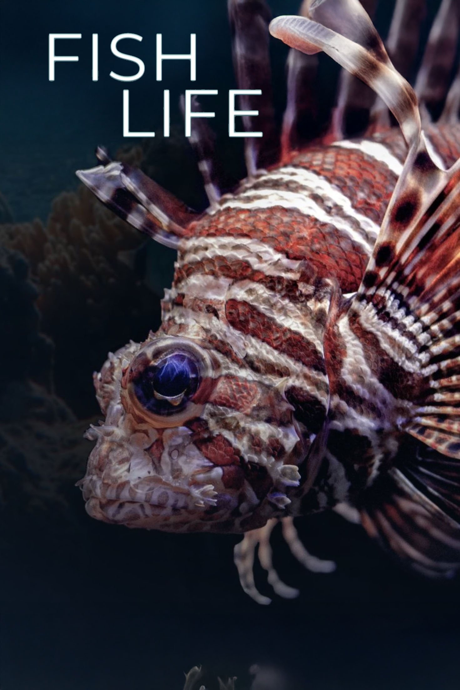 Movie image of : Fish Life