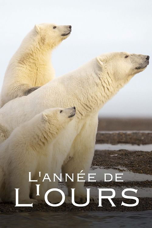 L'Ann&eacute;e de l'ours
