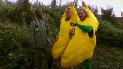 Wildboyz