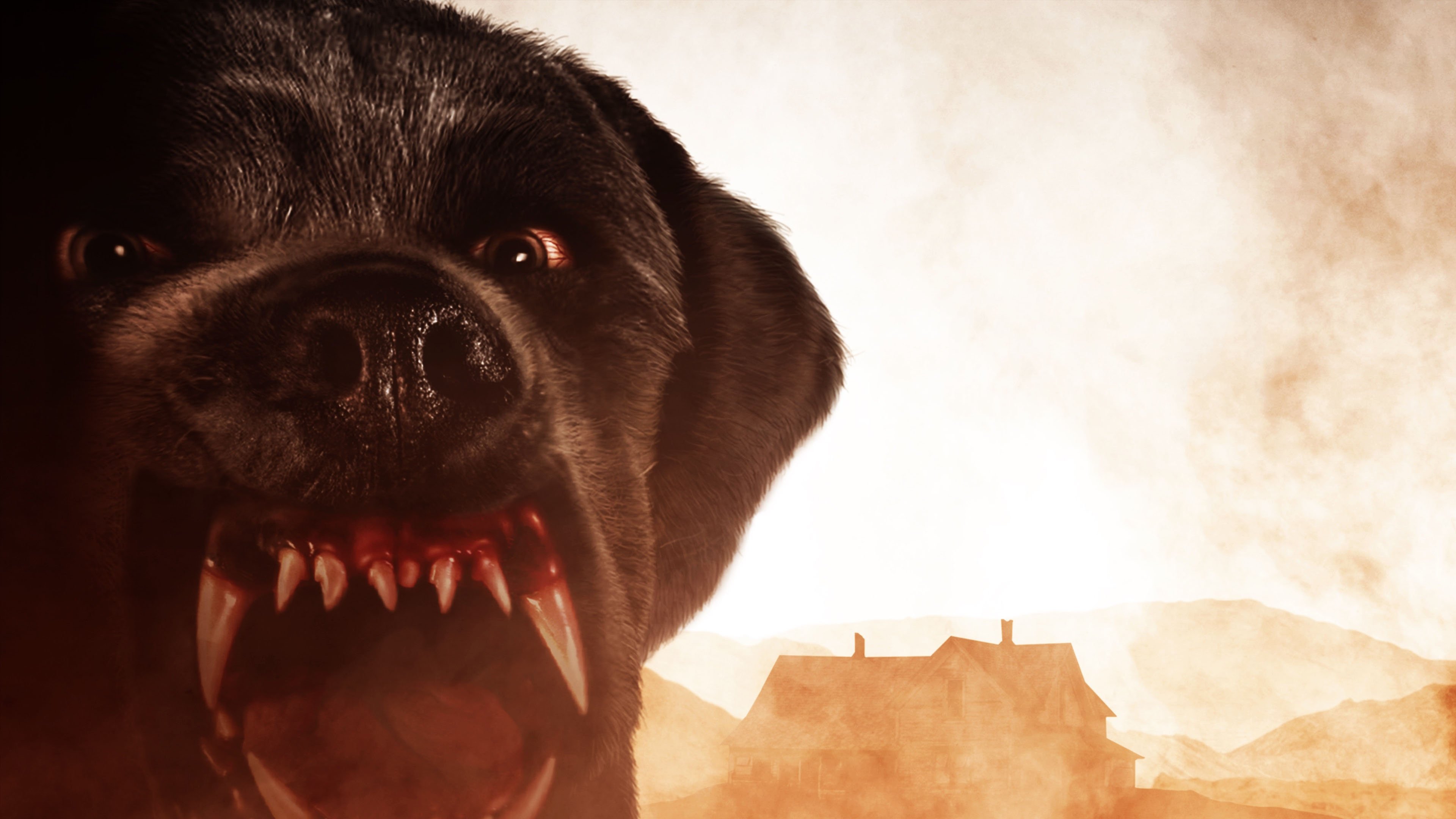 Image du film Cujo e93qfgxtbzejexdnzkvtpg5hsr9jpg