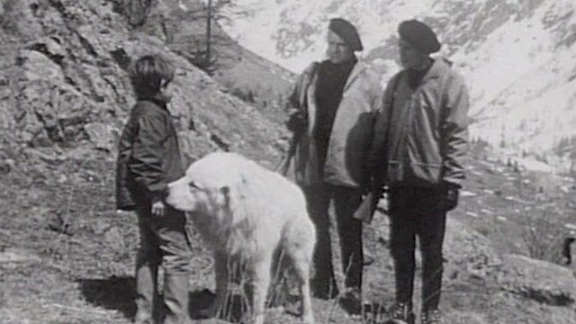Episode 8
