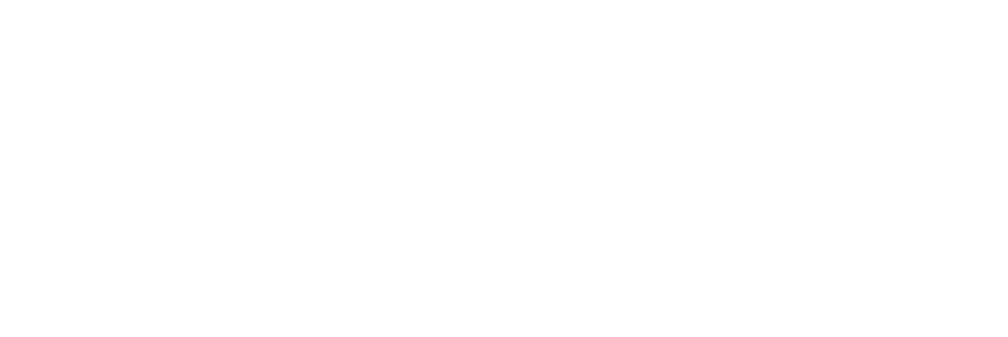 Down South Spirit Logo