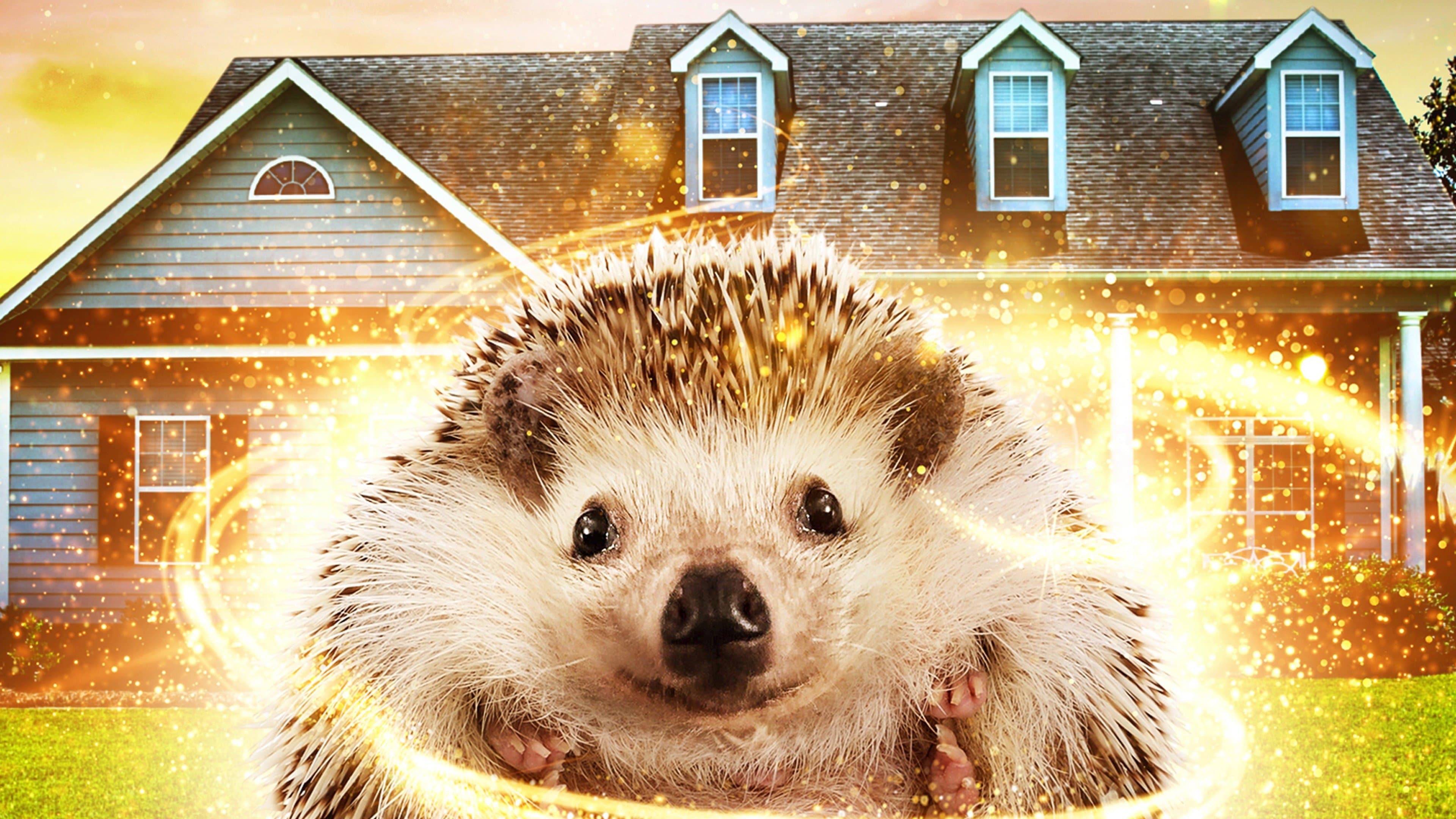 Andy the Talking Hedgehog (2018)