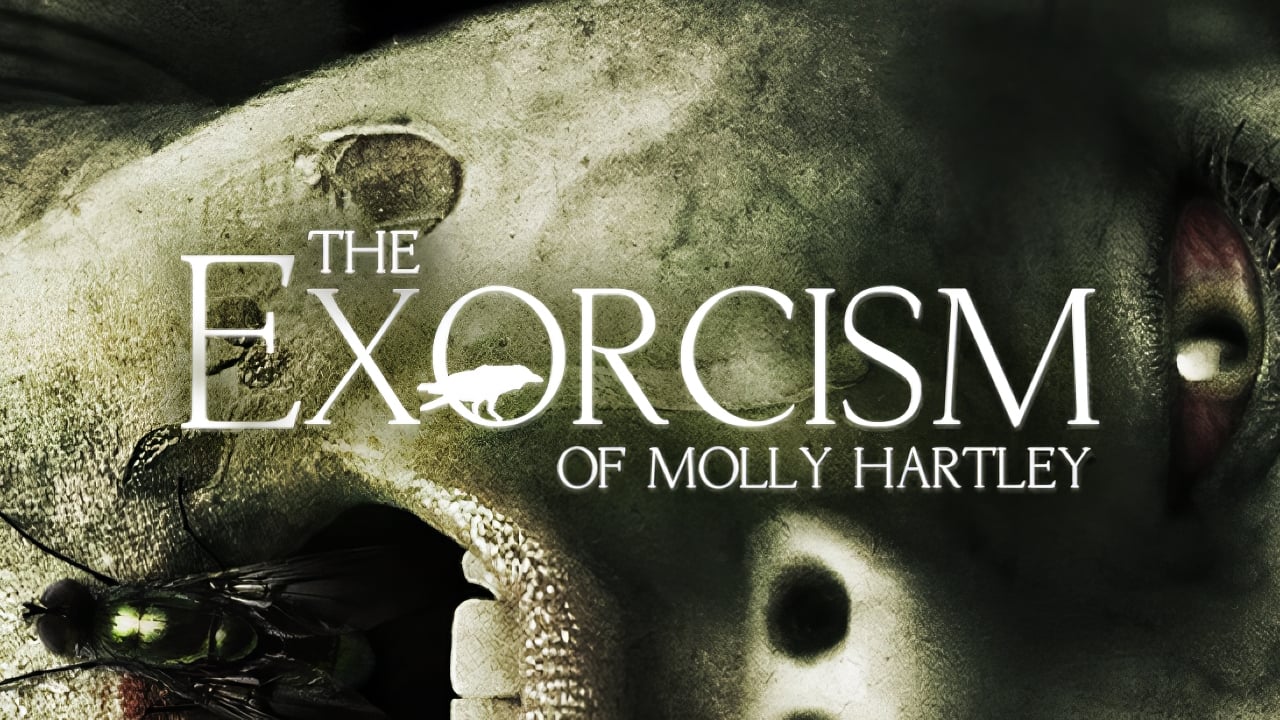The Exorcism of Molly Hartley (2015)