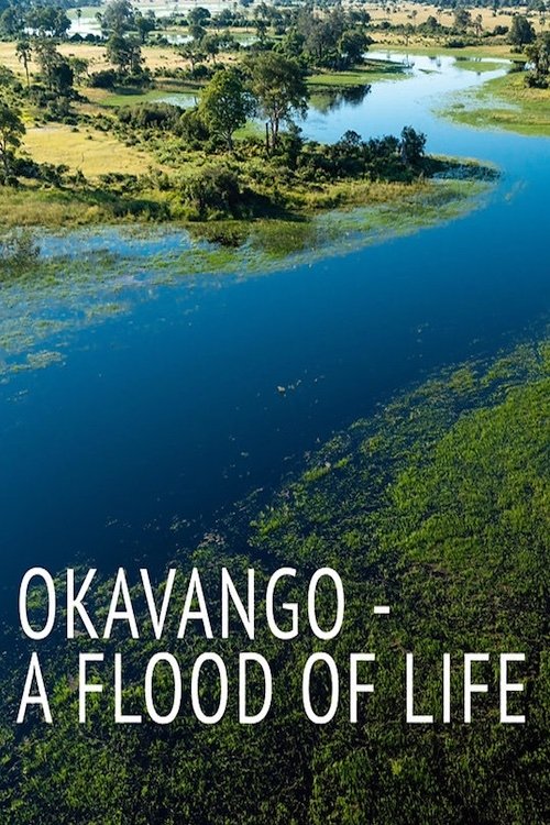 Okavango: A Flood of Life