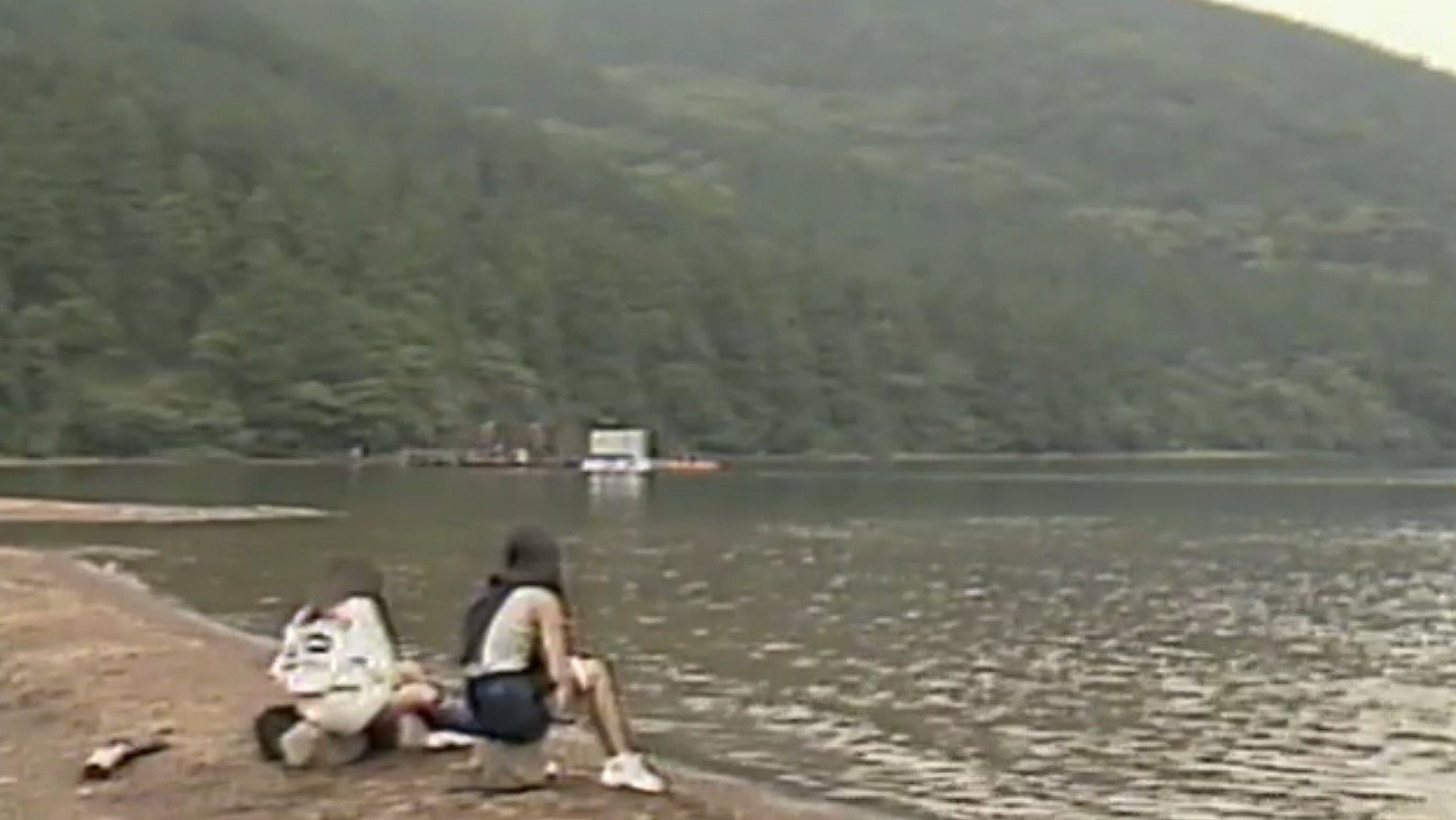 House of Horror: Matango Collector