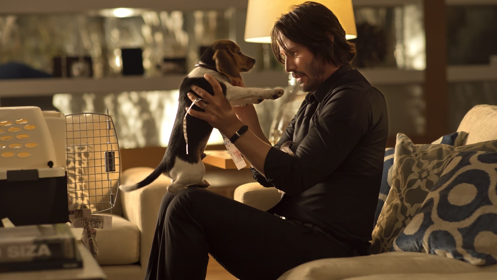 Image du film John Wick ed7fnb7llrbv5ewjdglytaov9mvjpg