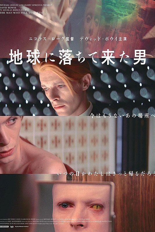 The Man Who Fell to Earth