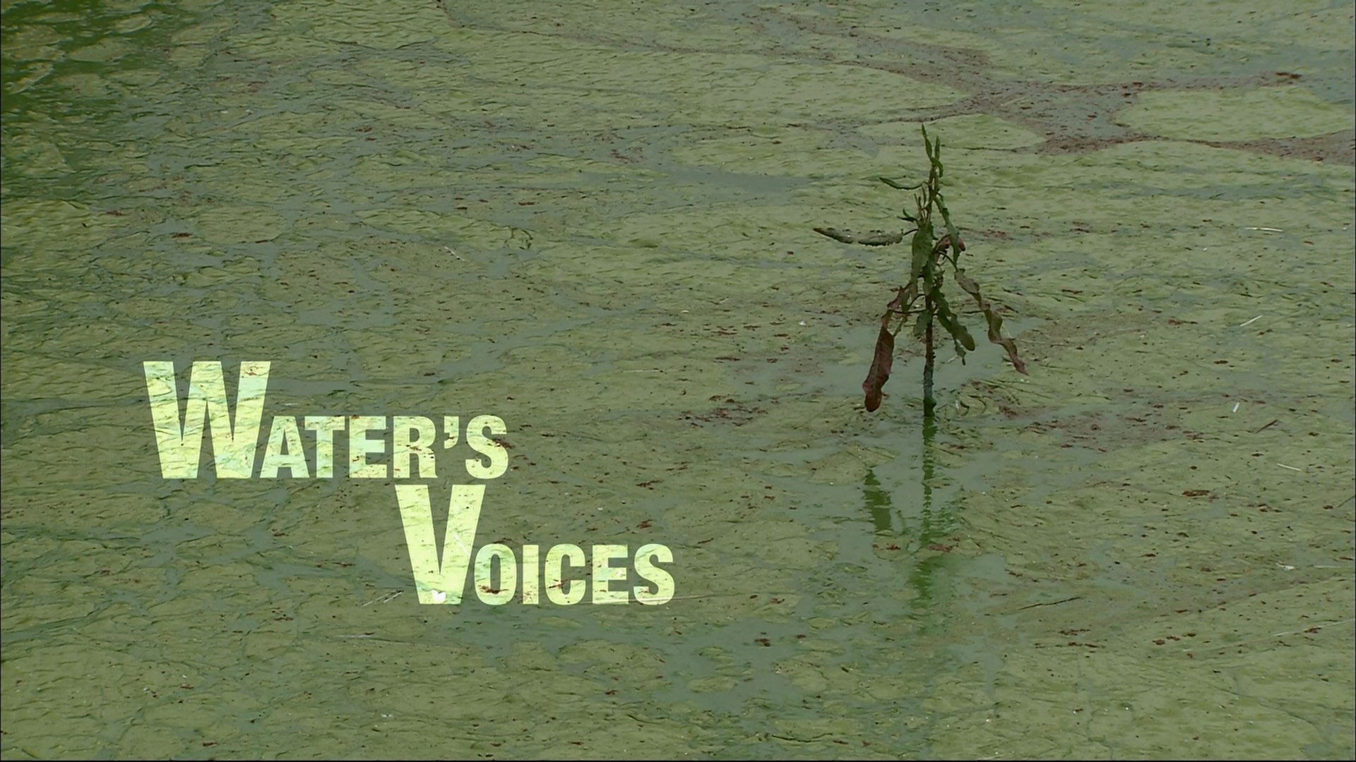 Thumbnail for Water's Voices Season 1 Episode 25