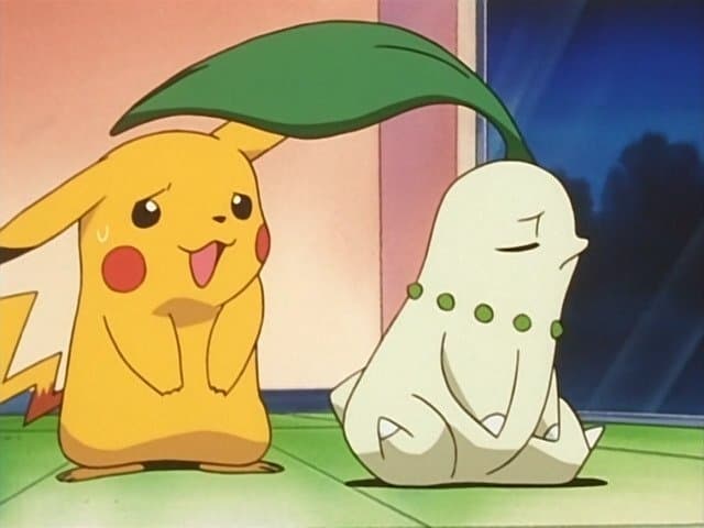 Pokémon Season 3 :Episode 20  Chikorita's Big Upset