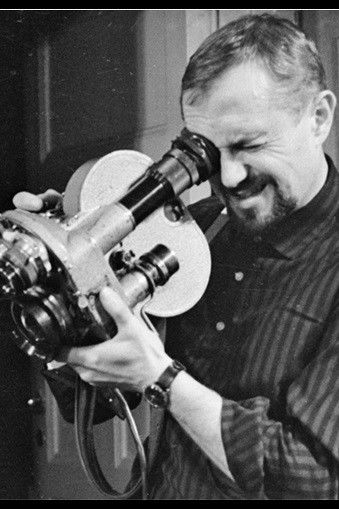 et billede af Valdis Krogis