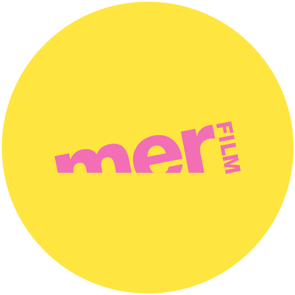 Logo de la société Mer Film AS 8754