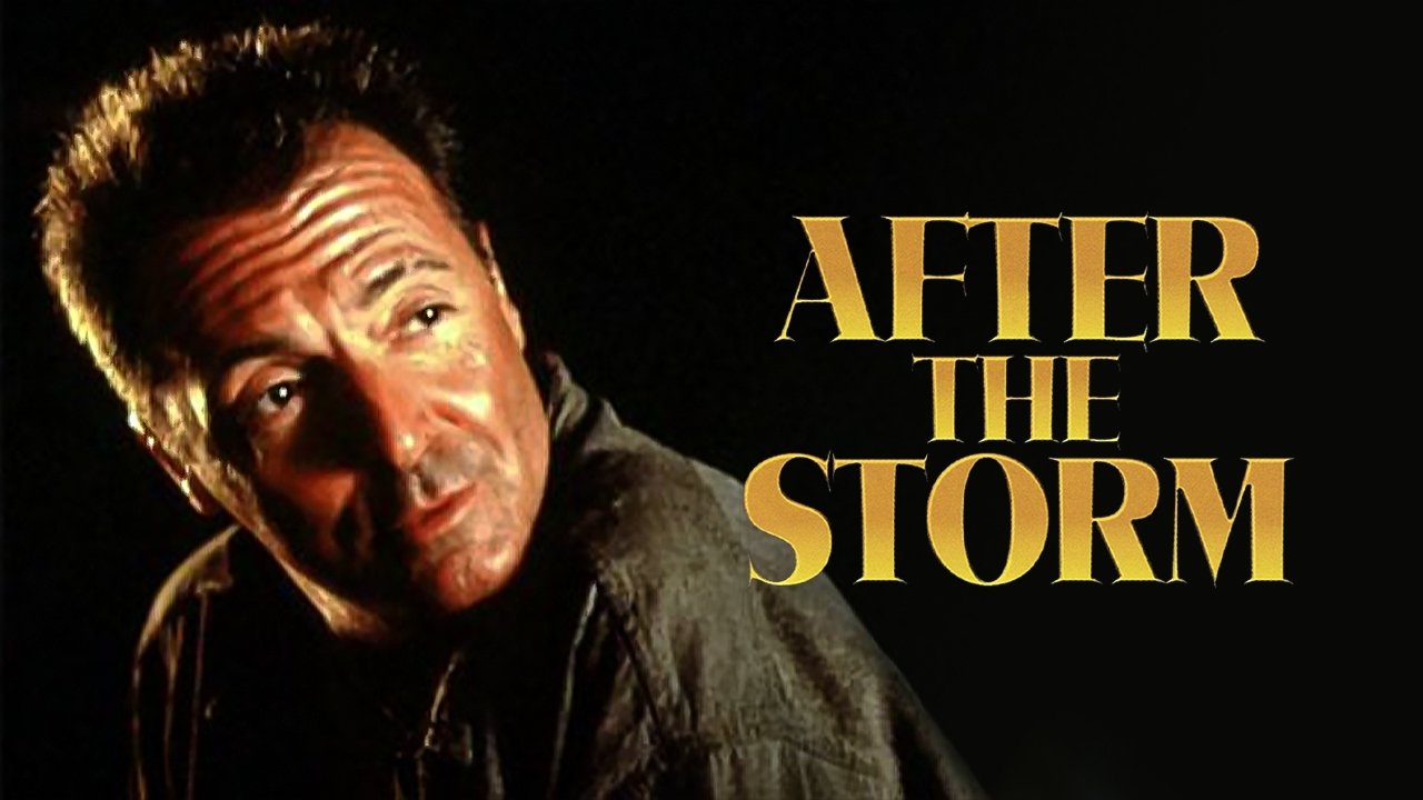 After the Storm (2001)