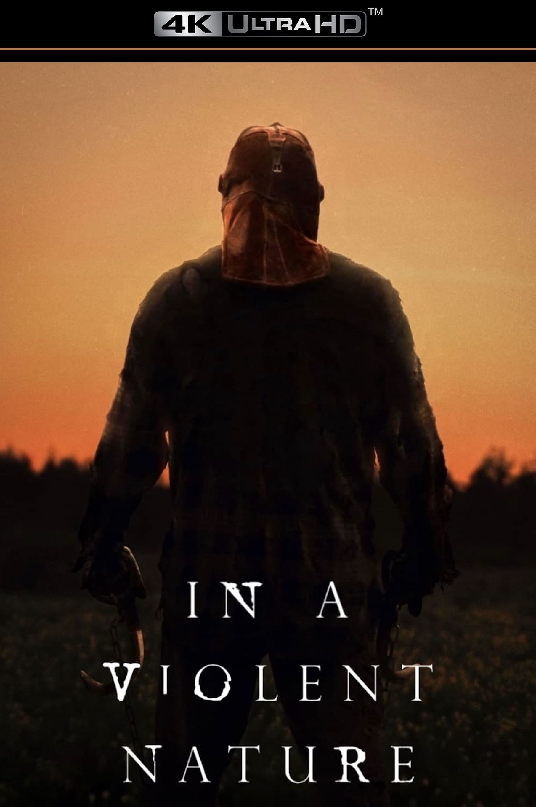 In a Violent Nature