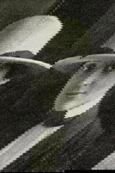 et billede af Billie Bristow