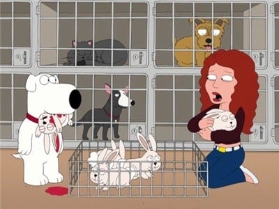 Family Guy Season 7 :Episode 1  Love Blactually