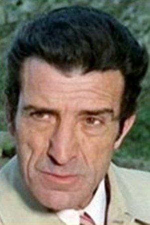 et billede af Nestore Cavaricci