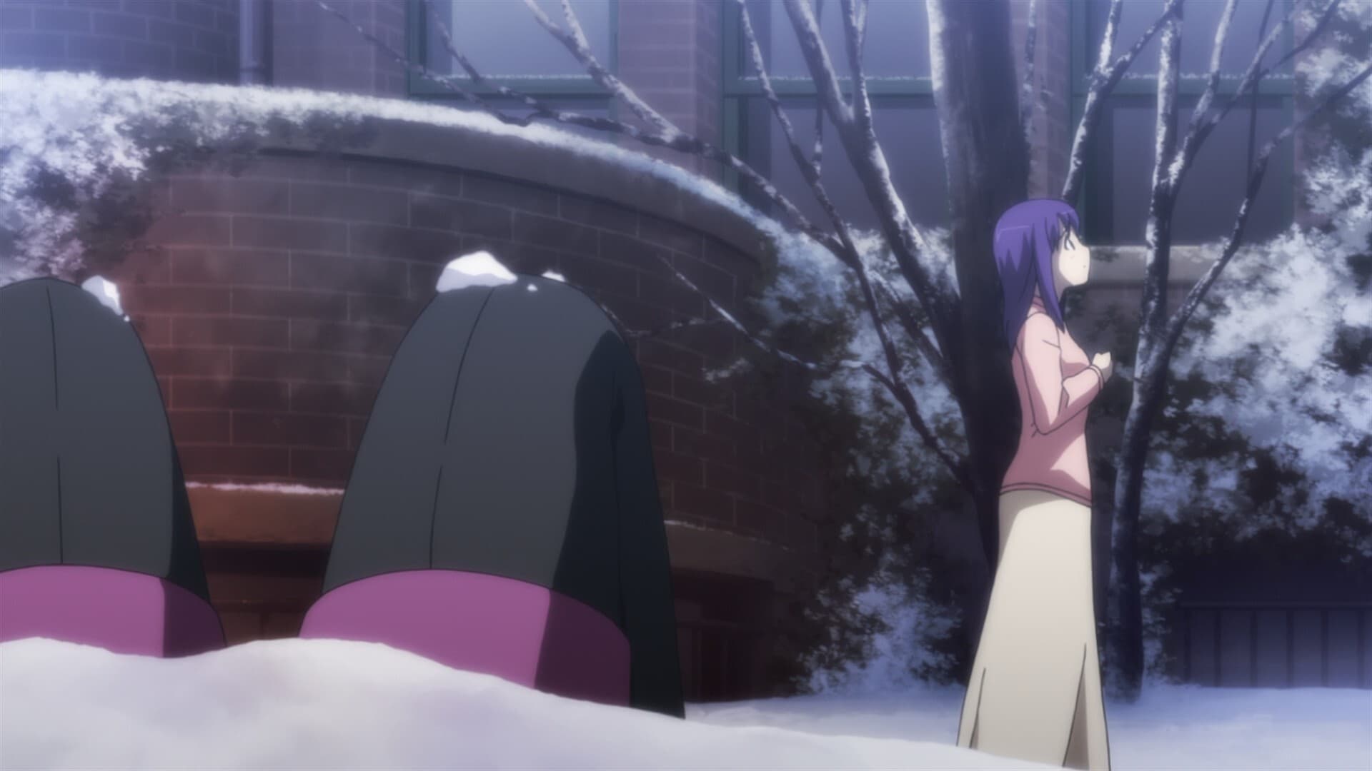 Carnival Phantasm