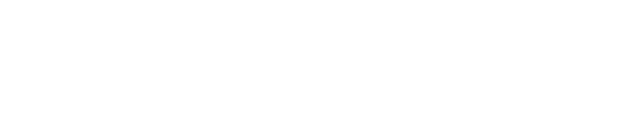 The Blue Angels Logo