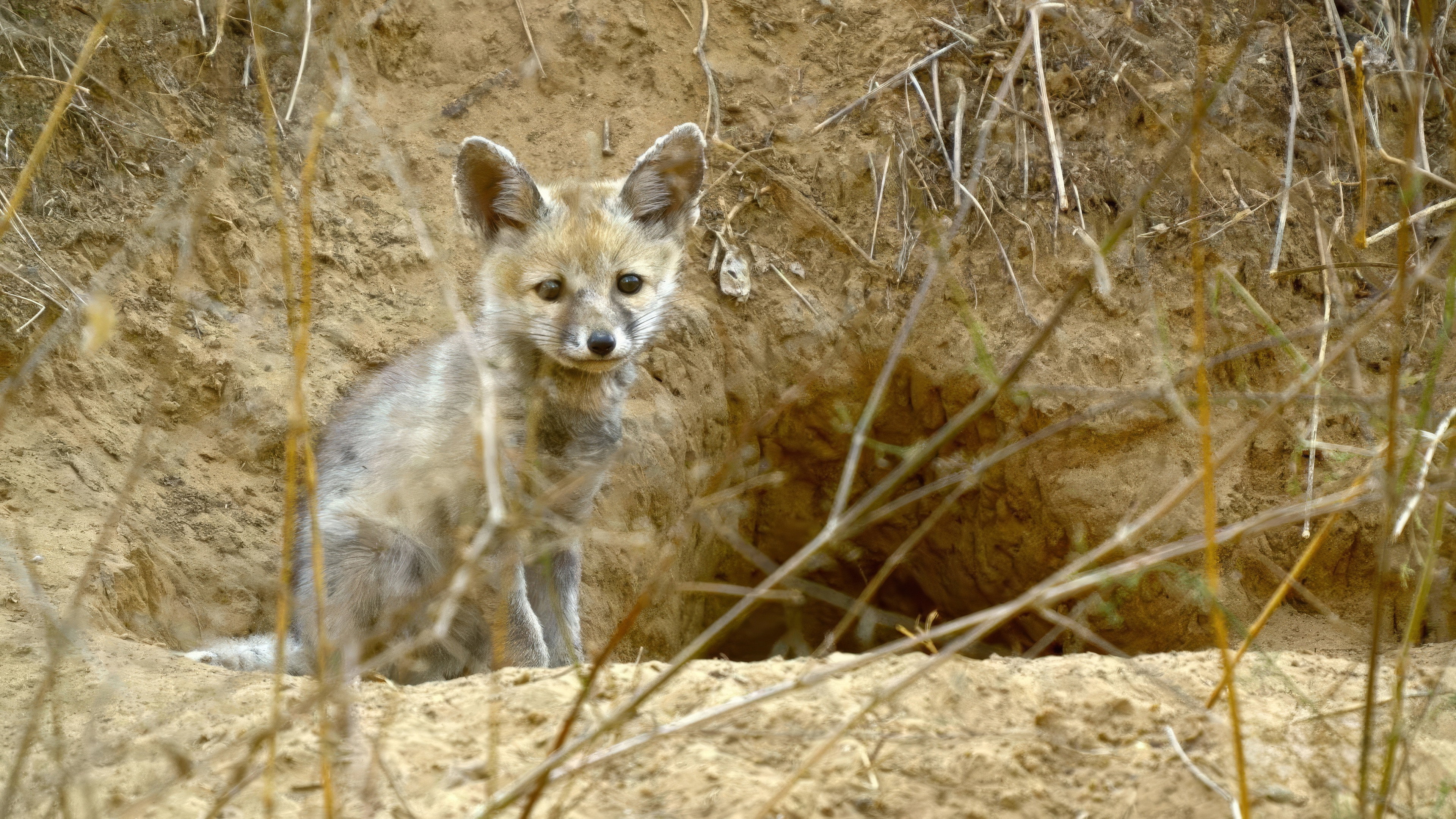 Earth Odyssey with Dylan Dreyer S07E21 backdrop