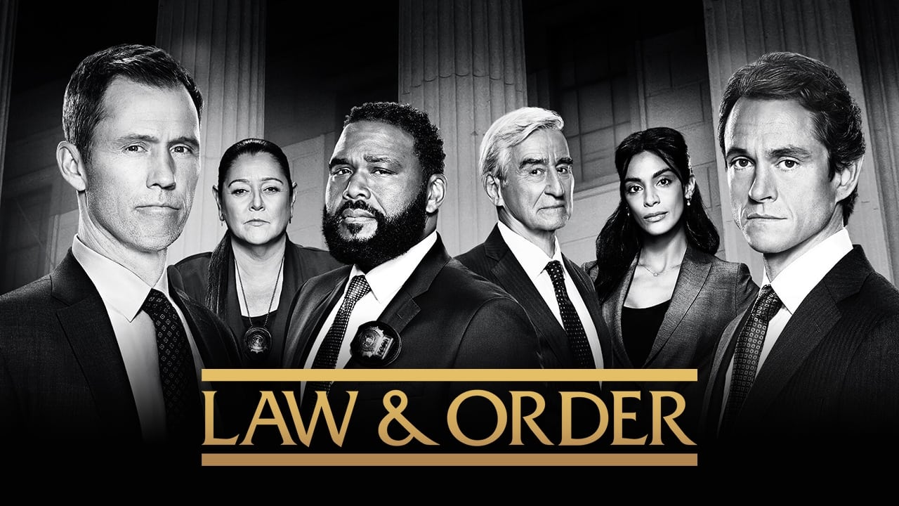 Law & Order - Season 22 Episode 19