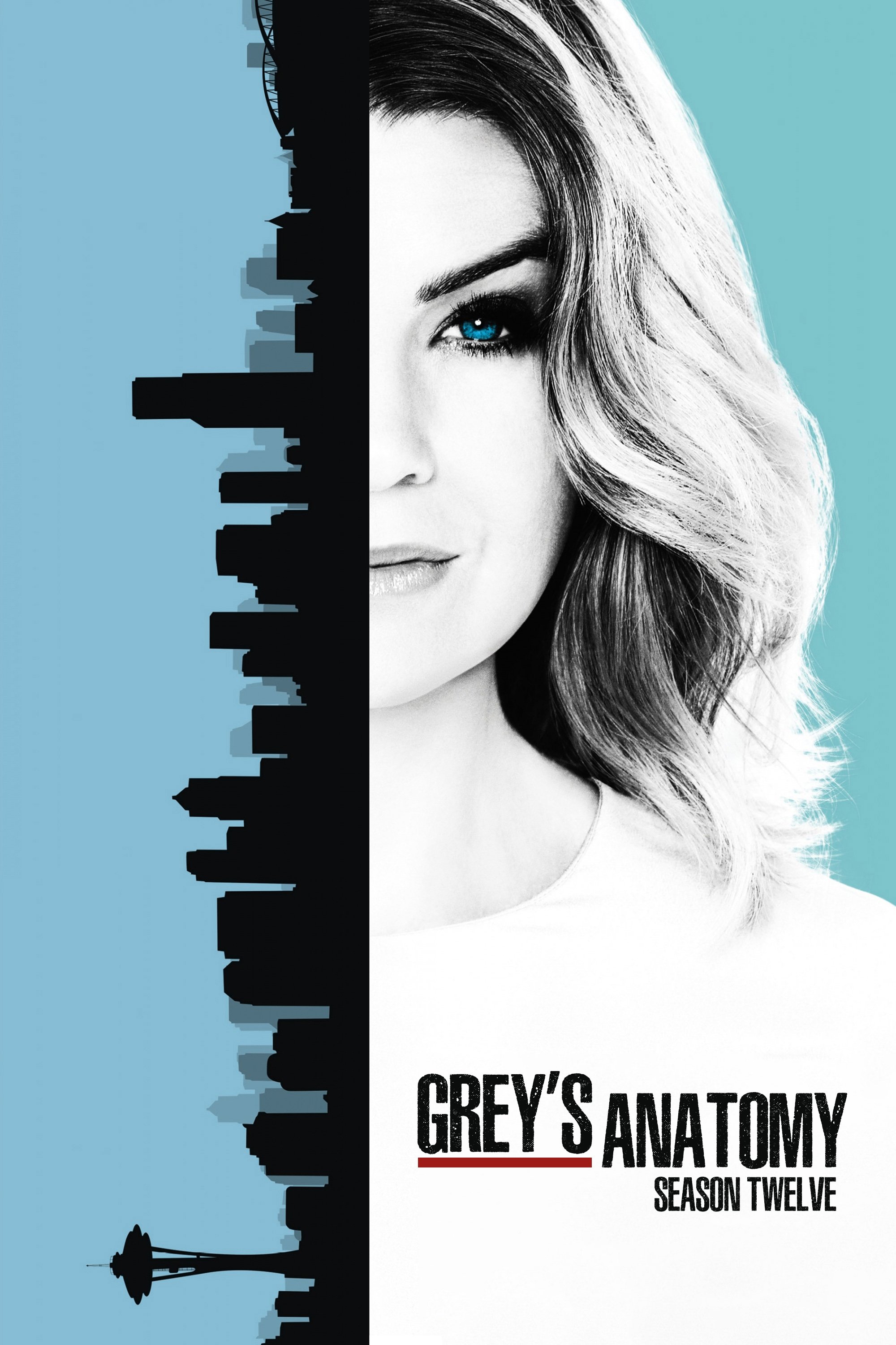 Grey's anatomy season 12 123movies store