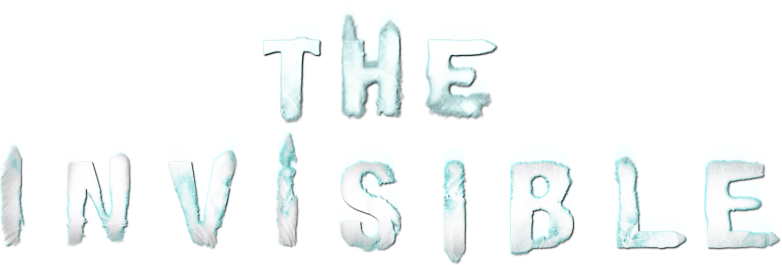 The Invisible Logo
