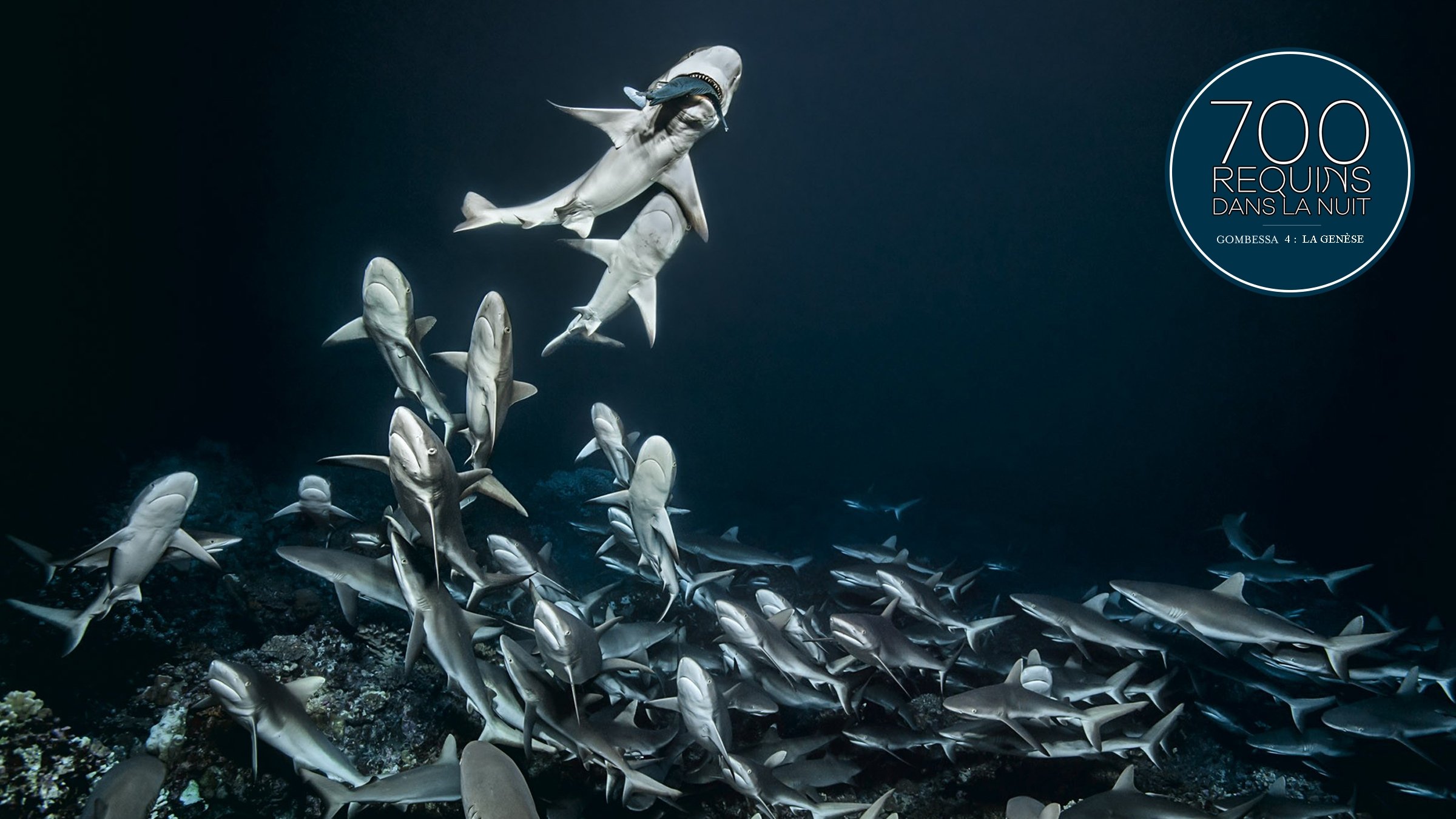700 Sharks (Gombessa 4, Genesis) (2016)