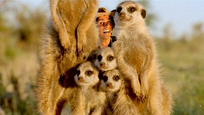 Thumbnail for Meerkats Season 1 Episode 4