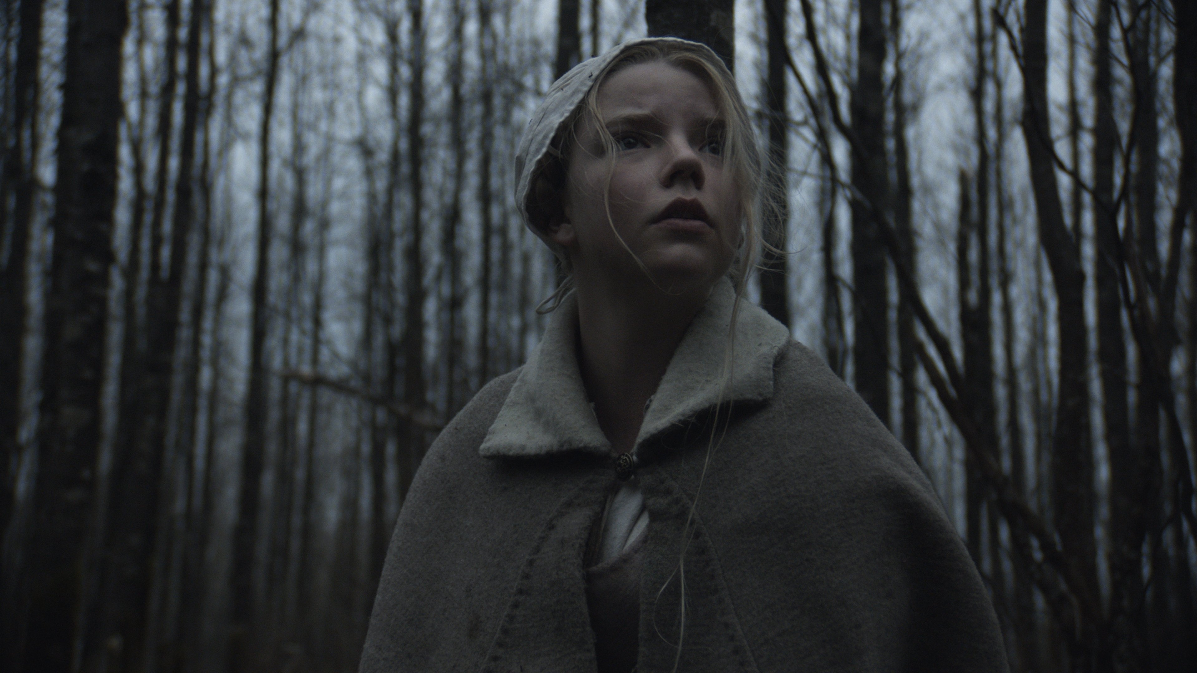 The VVitch: A New-England Folktale (2015)