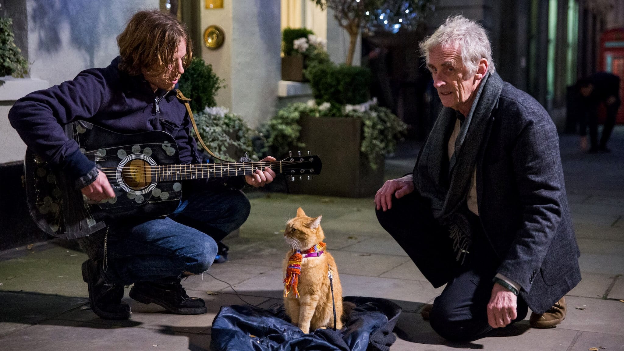 A Street Cat Named Bob (2016)