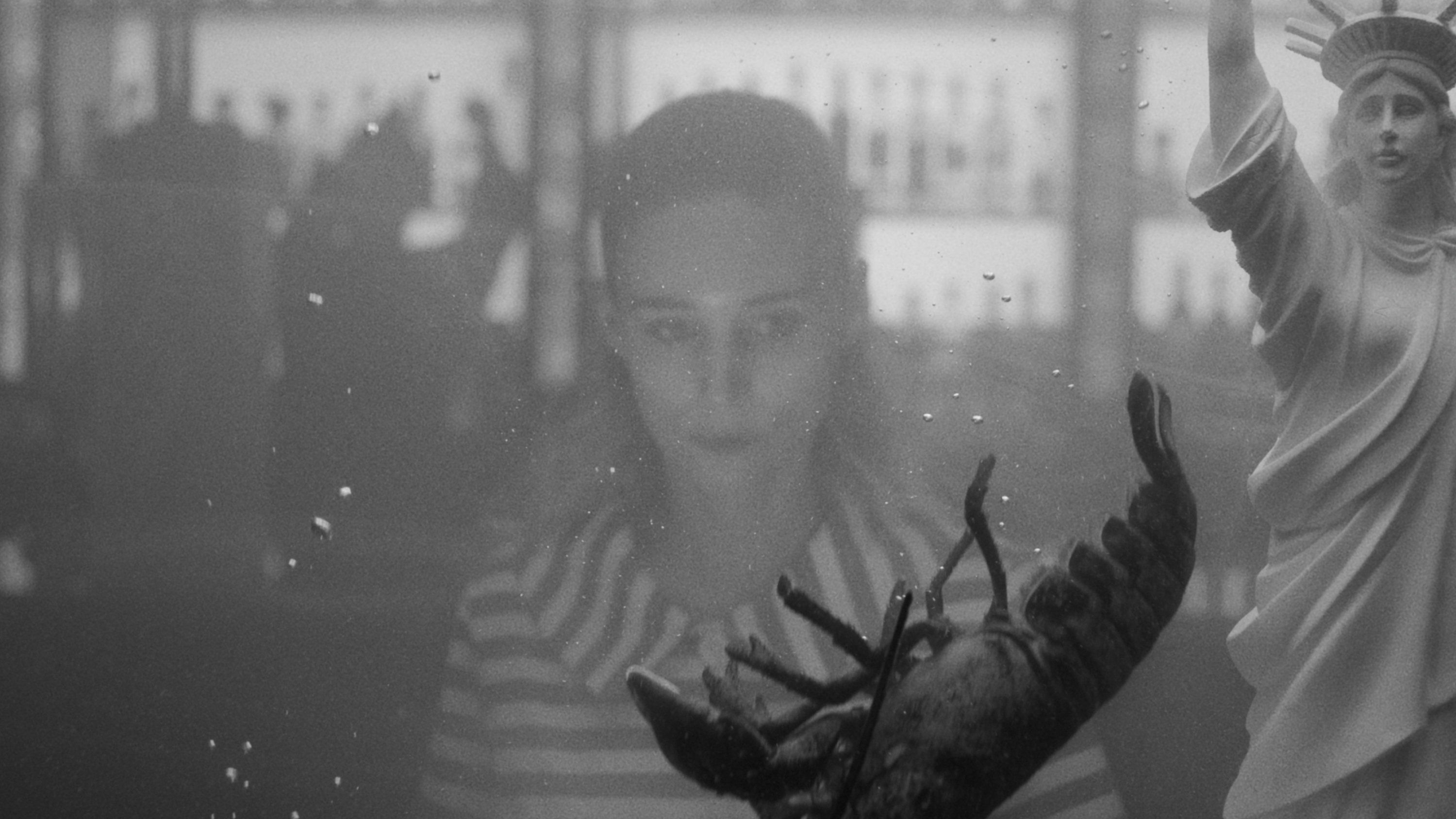 La Cocina (2024)