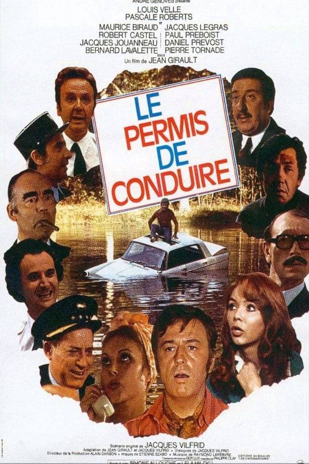 Affiche du film Le Permis de conduire 12681