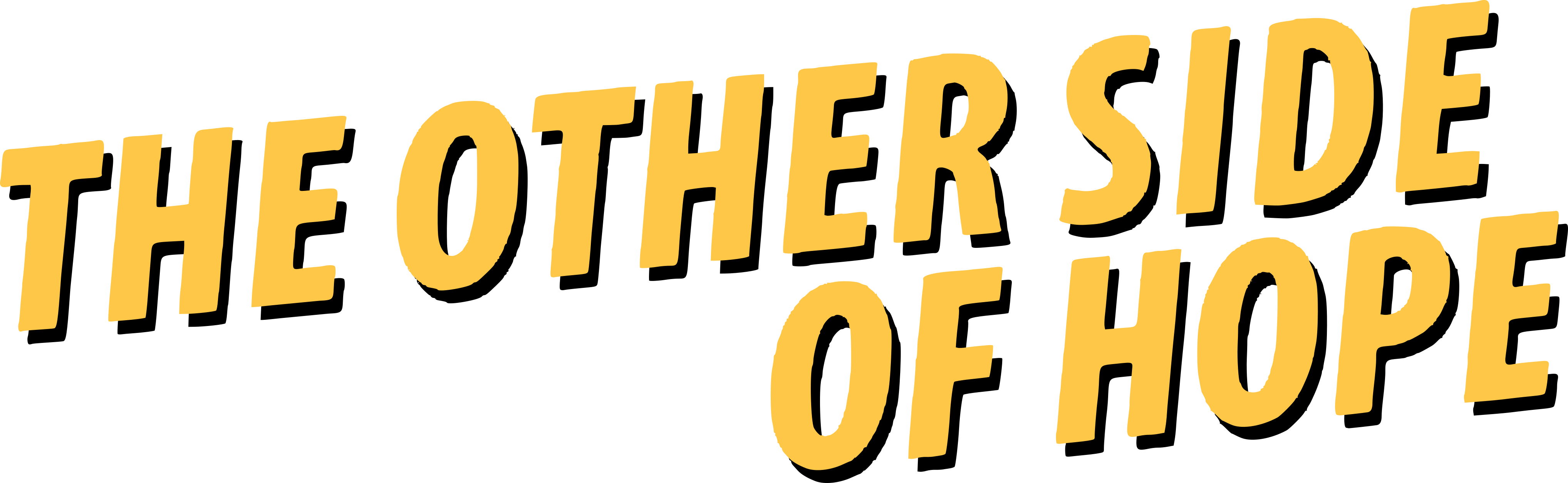 The Other Side of Hope Logo