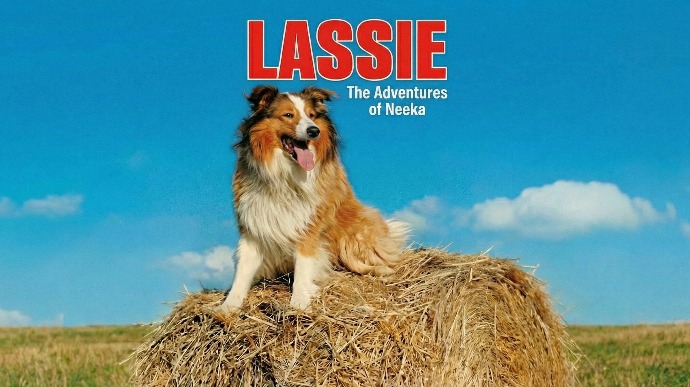 Lassie: The Adventures of Neeka