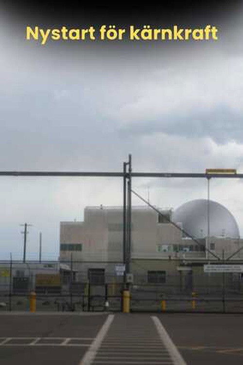 Nuclear Energy - The Solution for a Green Future?