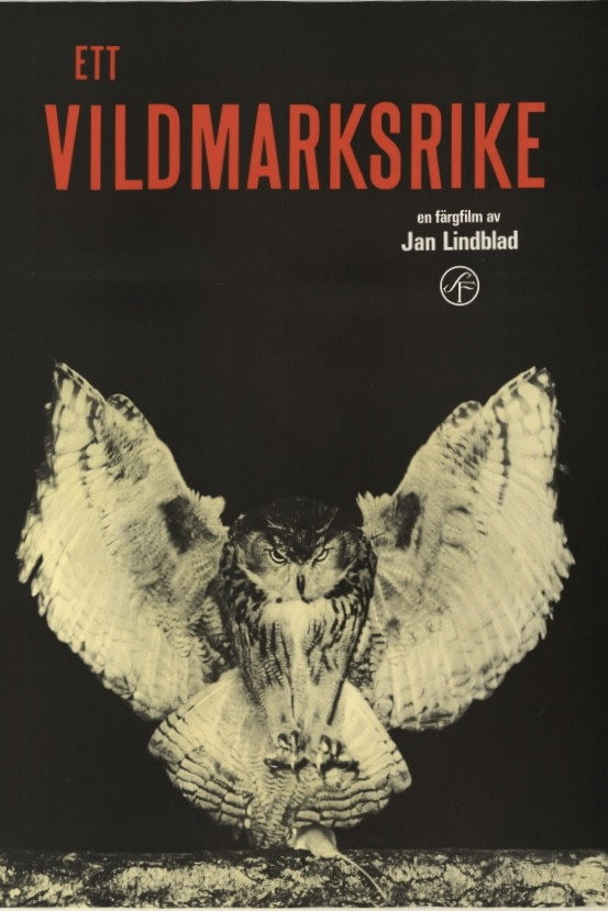 Ett vildmarksrike