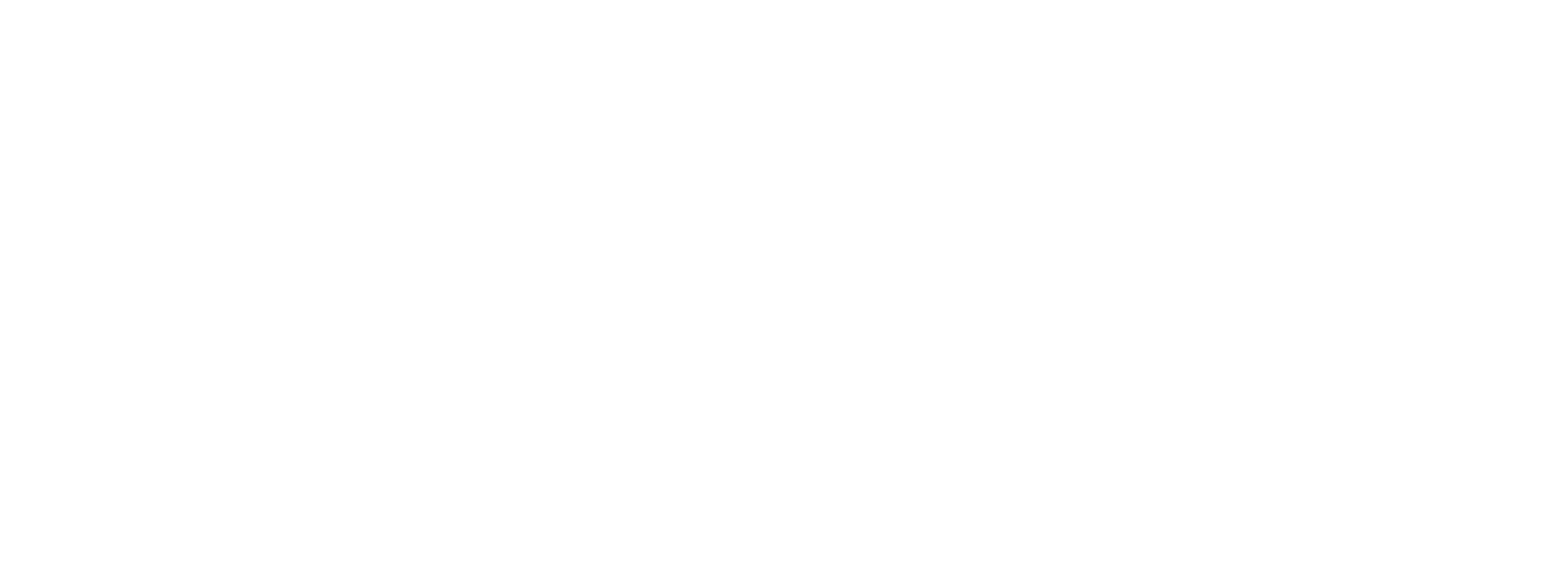 The Rebel Princess