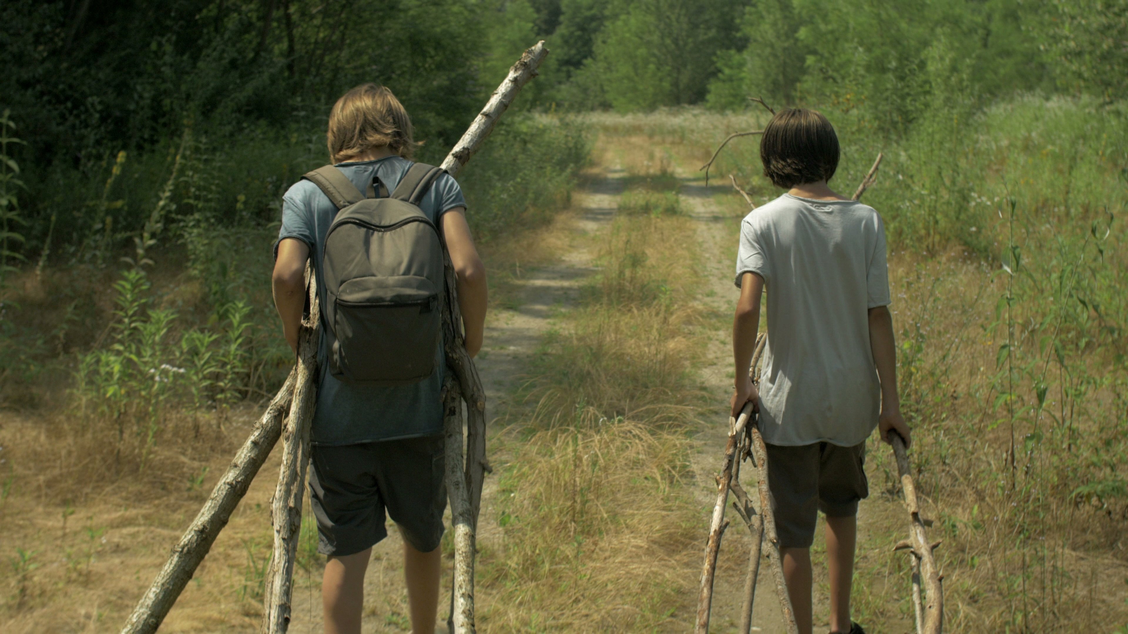 The Cormorants (2016)