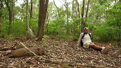 Wild Frank