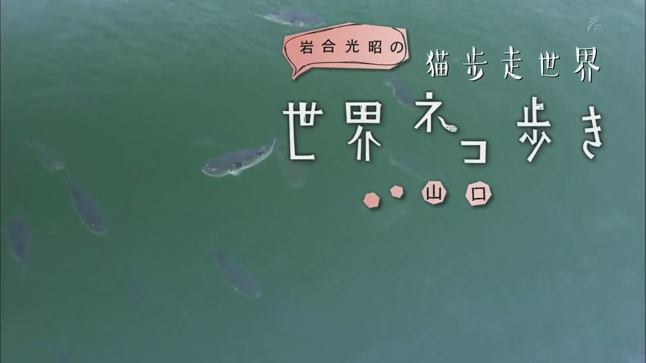 Episode 20