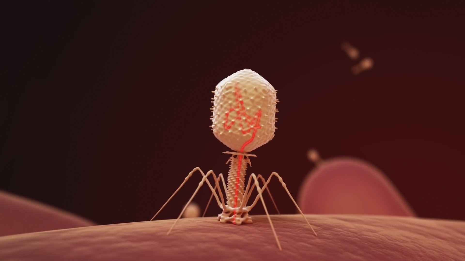 The Virus Within Us