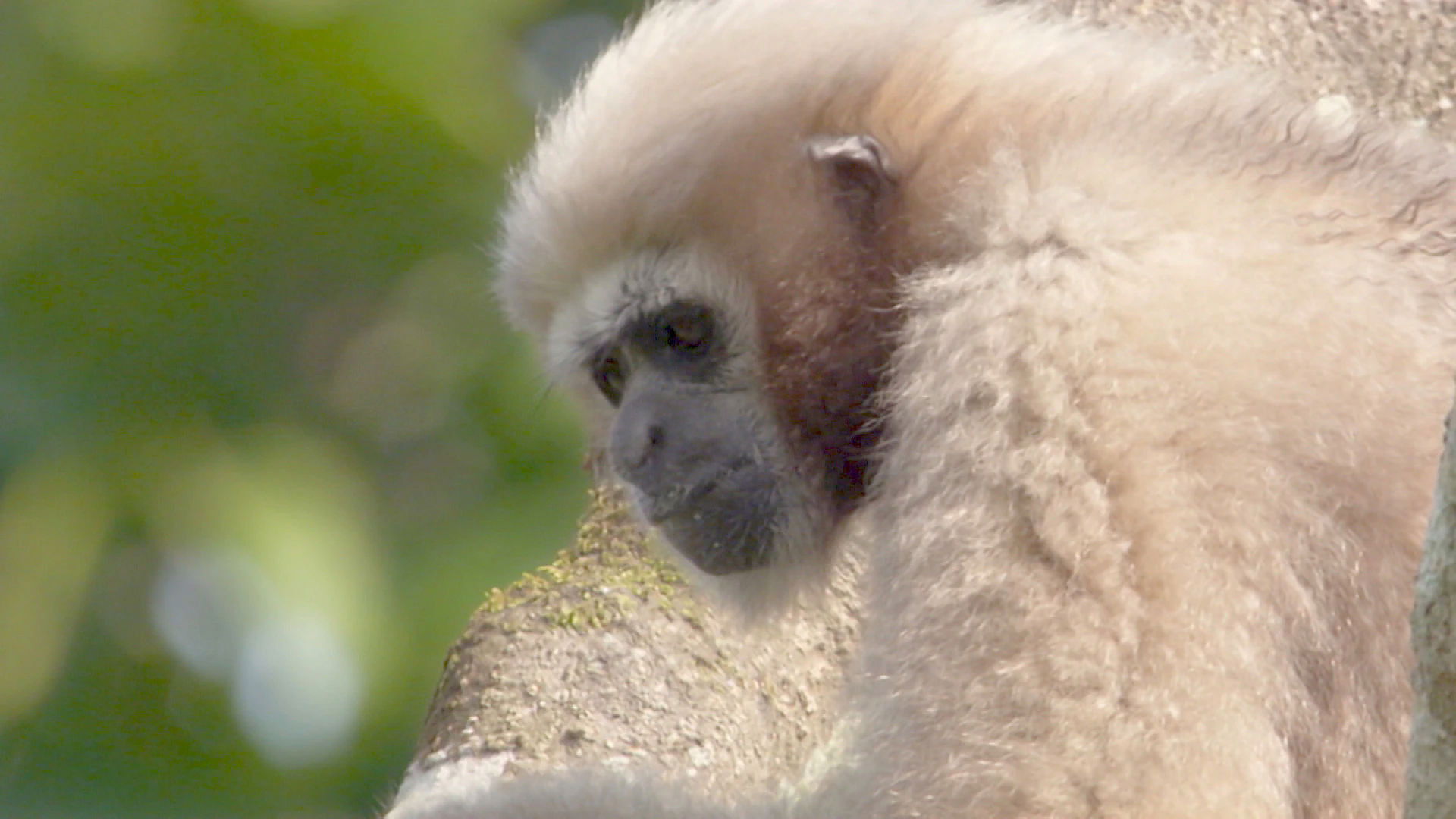 Earth Odyssey with Dylan Dreyer S03E16 backdrop