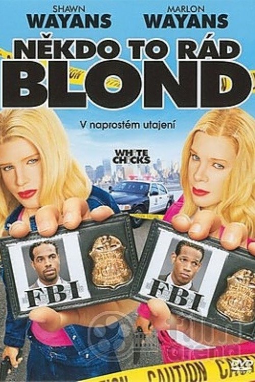 Někdo to rád blond (2004)