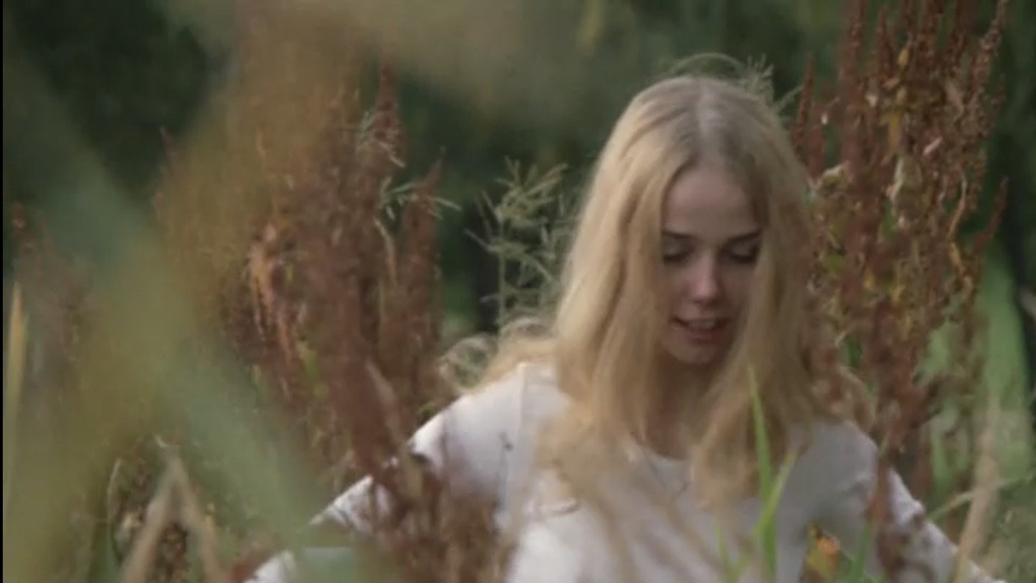 Swedish Porno: Desire First Sex Experience (1971)